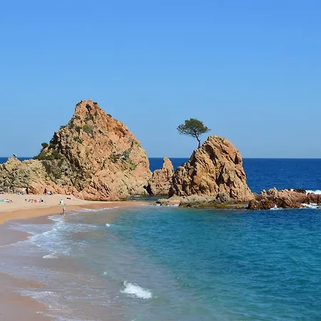 Apartamento Duplex En Cala Salions